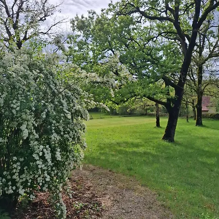 Du Causse Loubressac