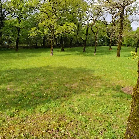 Du Causse Holiday home Loubressac