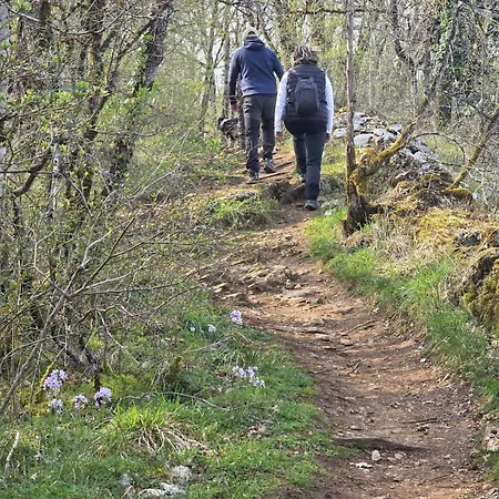 Du Causse