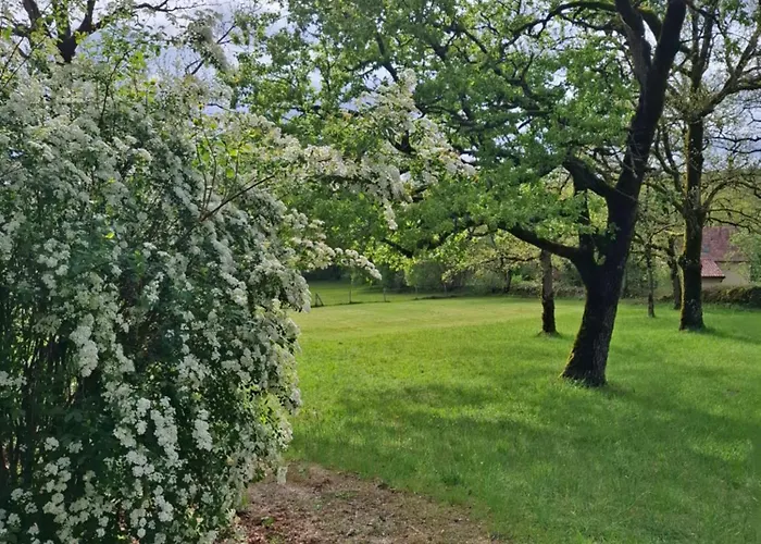 Du Causse Loubressac