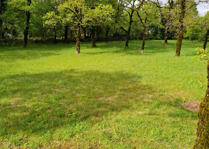 Du Causse Semesterbostad Loubressac